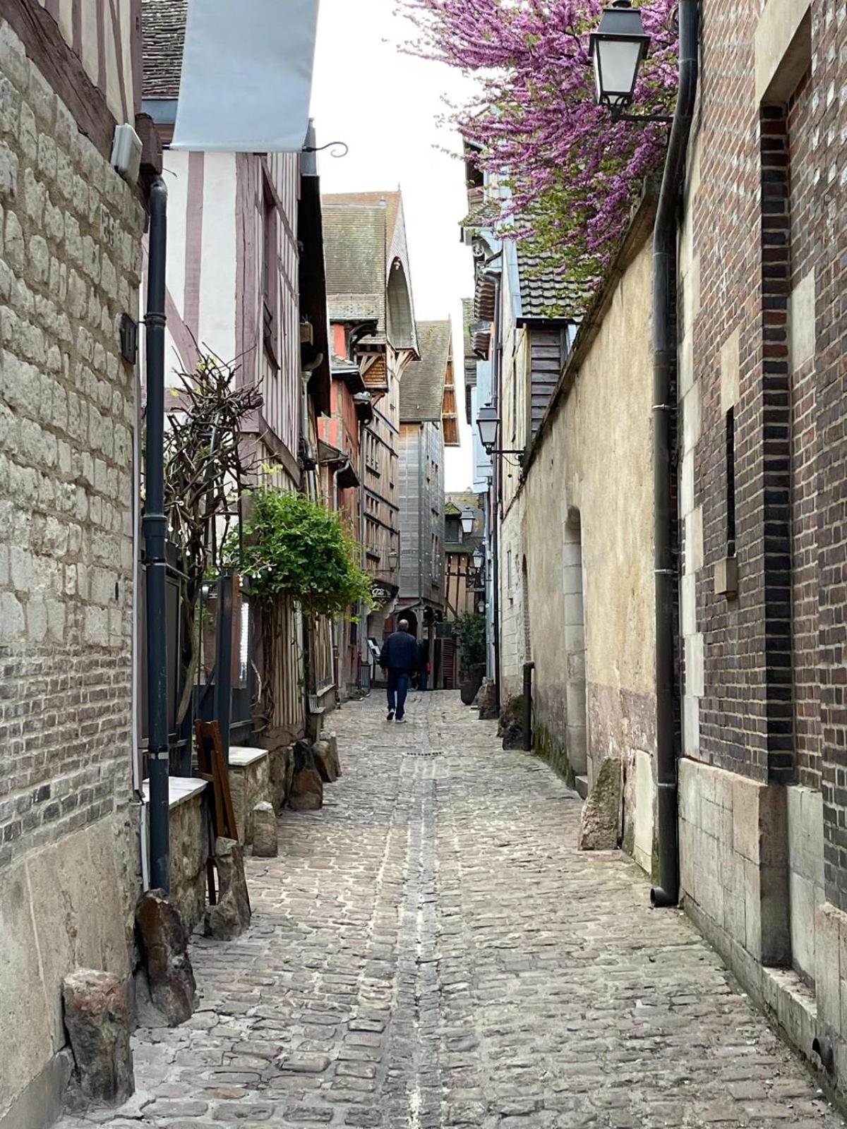 Un Brin De Bonheur Villa Troyes Luaran gambar